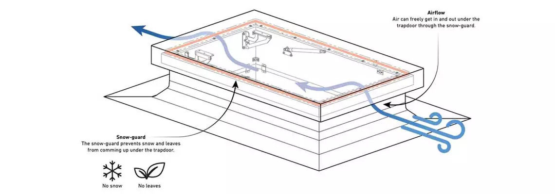 csm_roof-hatch-illustration-dolle-loft-ladders_43cd57cddd